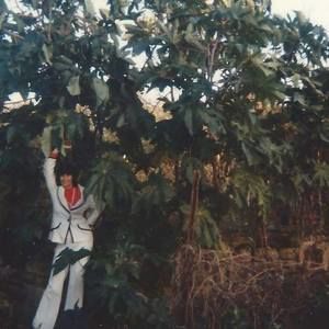 Meet your Posher, Dee